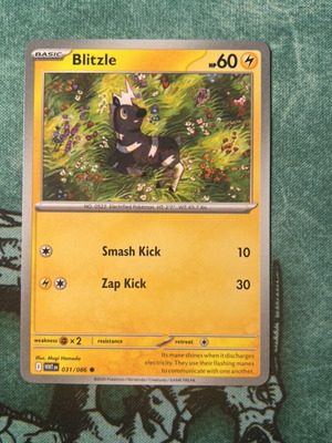 Blitzle Pokemon card used