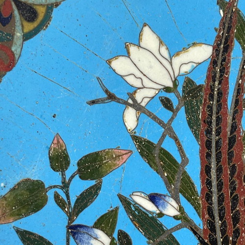 Japanese Meiji era cloisonné plate used, enamel on copper