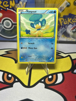 Pokemon TCG Panpour Common Black and White 33/114 like new