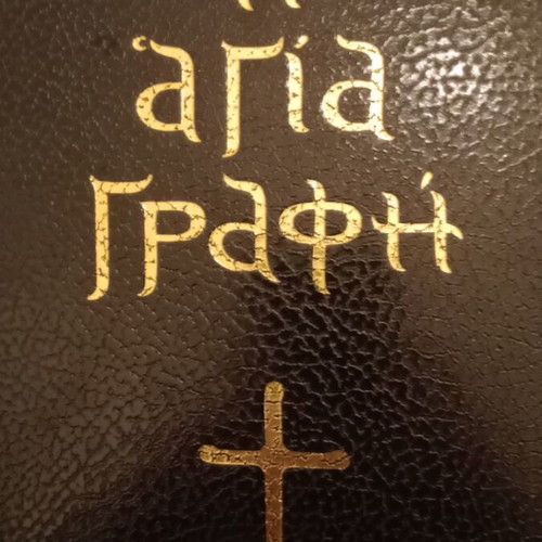 Holy Bible leather-bound book like new