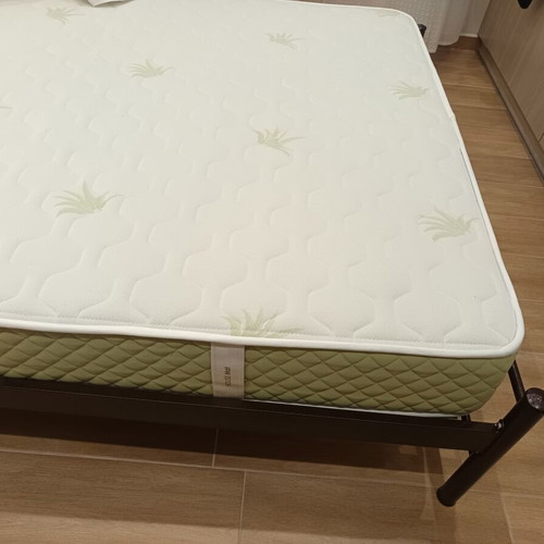 Iron double bed frame with slats and mattress