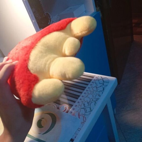 Plush teddy bear new with tags