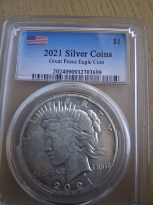 American dollar replica coin