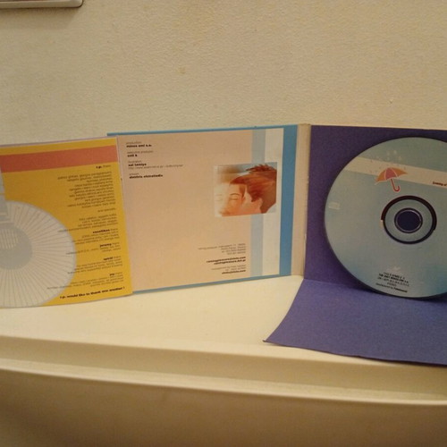 Raining Pleasure Flood CD used, rock