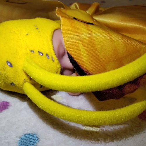 Anne Geddes Butterfly Sleeping Doll collectible, used, 25 cm