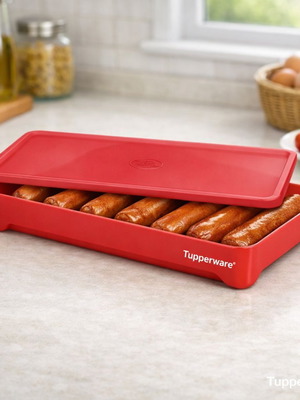 Tupperware Hot Dog Container new, 24x14x6 cm