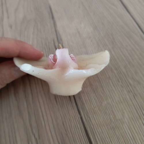 Orchid Candle New Decorative
