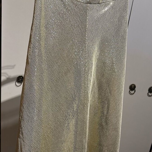 Zara skirt new with mini sequins gold and silver