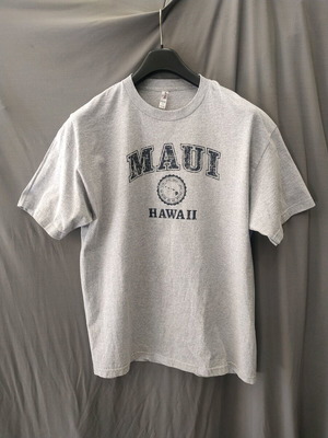 Men's 100% cotton t-shirt size L gray like new