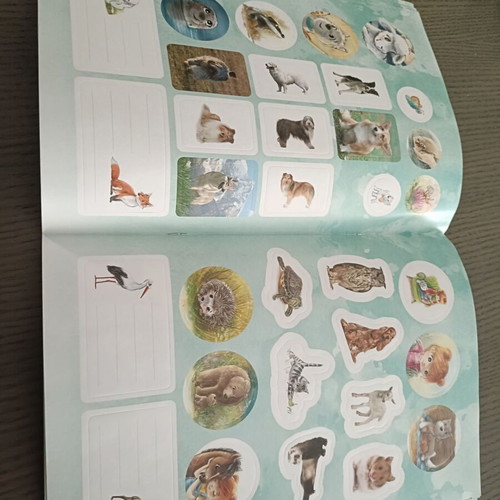 Nefeli the Animal Doctor book new
