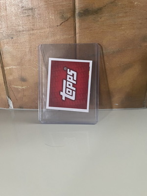 Topps logo Euro 2024 sticker 01