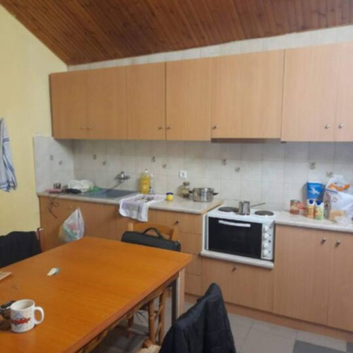 Detached house in Pavliani Fthiotida with garden and fireplace