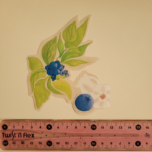 Handmade blue berry sticker new