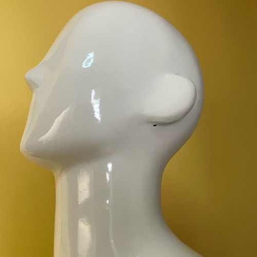 Mannequin torso used