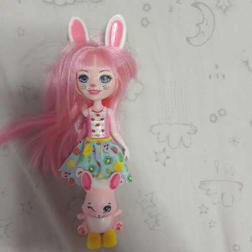 Enchantimals set of 7 dolls with 7 animals