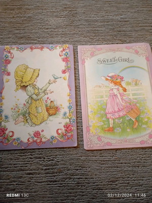 Used correspondence covers, set of 2 pieces