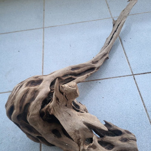 Large Amazon aquarium root used