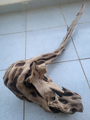 Large Amazon aquarium root used