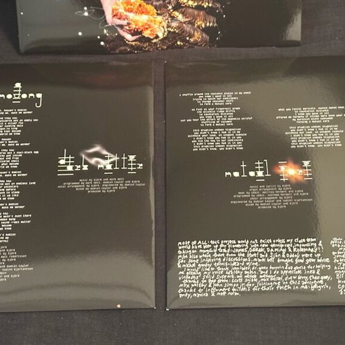 Biophilia 2LP 180g vinyl album like new