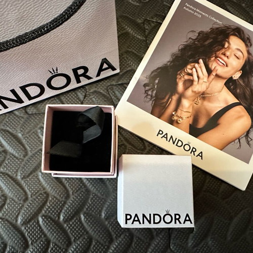 Pandora charm box and bag new