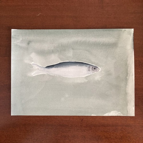 Fish Untitled Anonymous Acrylic Painting on Cardboard used