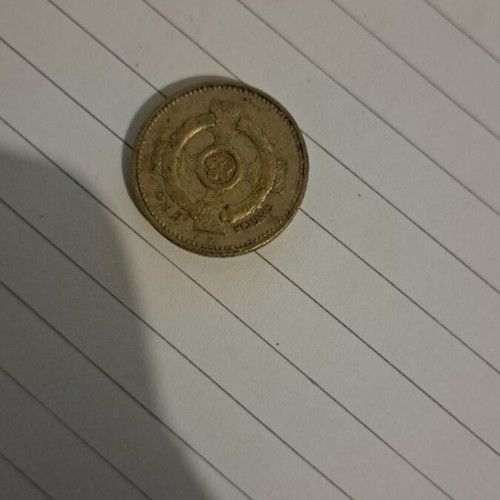Old English £1 Coin 1996 used, collectible