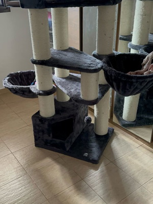 Cat house new