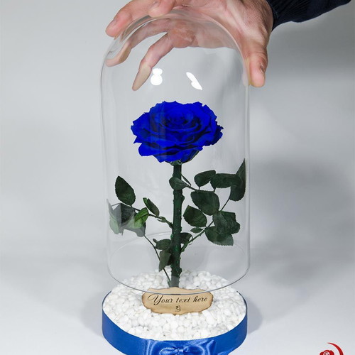 Blue natural eternal rose in large glass dome made to order