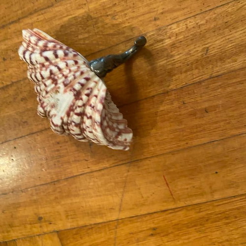 Decorative table ornament used, shell with swan head