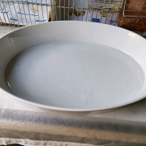 Deep platter new, vintage, white 38x7 cm