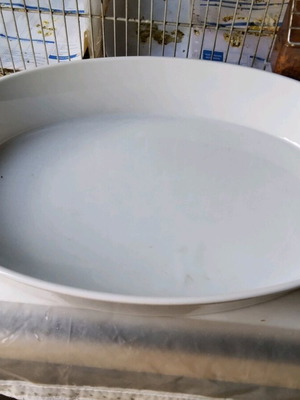 Deep platter new, vintage, white 38x7 cm