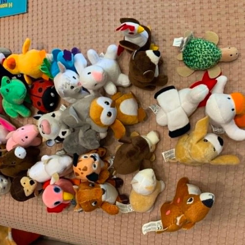 Zoakia Pareakia Collection 32 Books and 32 Plush Toys like new