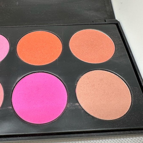 Blush palette with 10 shades like new