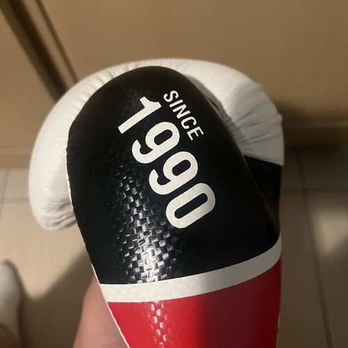 Kickboxing gloves 10oz like new