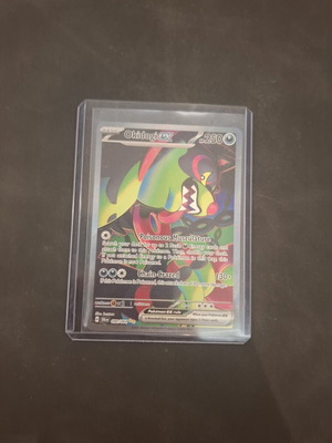 Okidogi EX Pokemon card