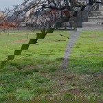 Къща село Скобелево, област Сливен