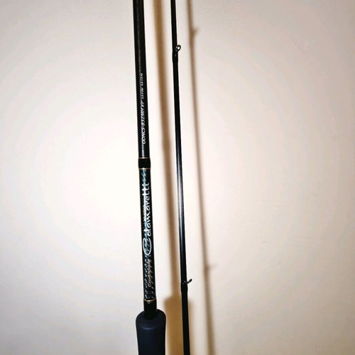 Eging rod Graphiteleader Nuovo Calamaretti 832 MH like new