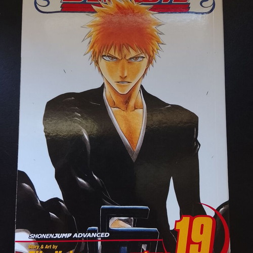 Bleach Volume 19 used, English