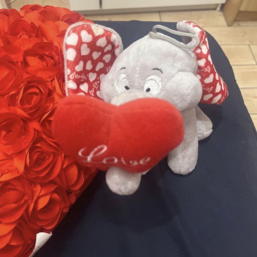 Romantic gift set elephant love with heart pillow and teddy keychain like new