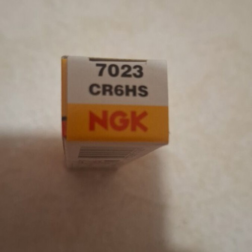 NGK spark plug new