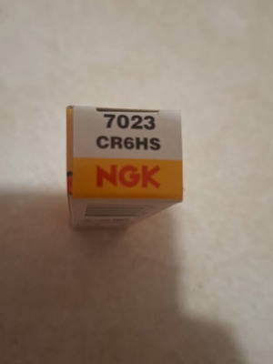 NGK spark plug new