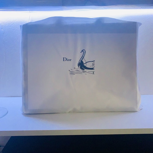 Christian Dior Book Tote handbag new, black