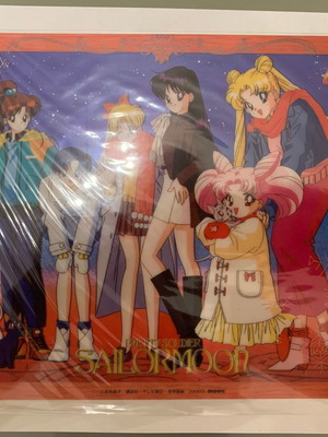 Sailor Moon Clear Poster Print 18x25.5 cm new, original anime manga