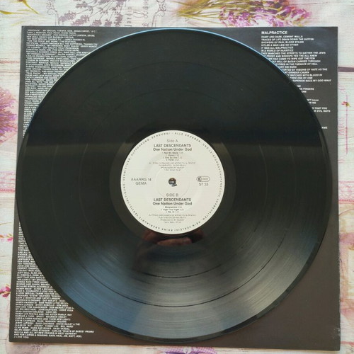 Last Descendants One Nation Under God LP used, metal