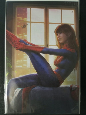 The Amazing Spider-Man #27 Variant Cover new