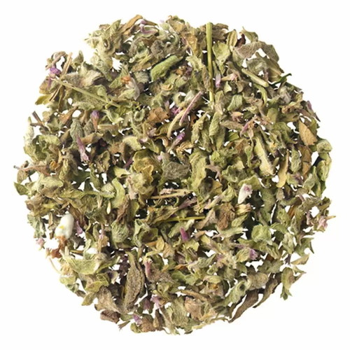 Fennel New Aromatic Herb for Cooking and Therapeutic Use