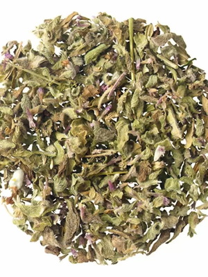 Fennel New Aromatic Herb for Cooking and Therapeutic Use