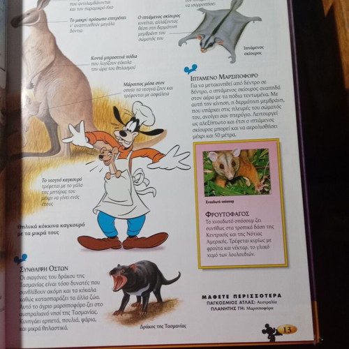 The Kingdom of Mammals like new