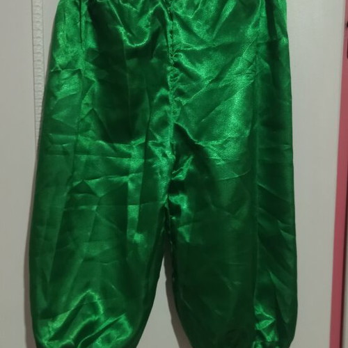Carnival costume with hat like new