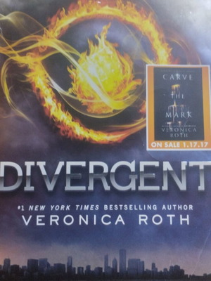 Divergent by Veronica Roth like new, English edition